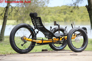 MagnumFat1 recumbent trike